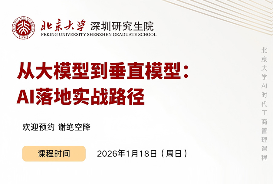 从大模型到垂直模型:AI落地实战路径